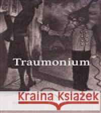 Traumonium Ewald Murrer 9788075303691 Malvern - książka