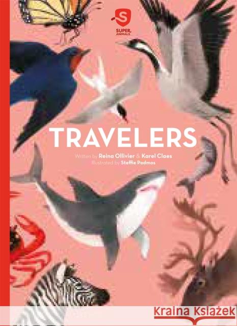 Travelers Ollivier, Reina 9781605378541 Clavis - książka