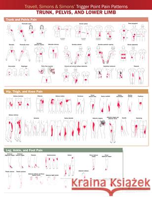 Travell, Simons & Simons  Trigger Point Pain Patterns Wall      Chart: Trunk, Pelvis, and Lower Limb Anatomica Chart Company   9781975183851 Wolters Kluwer Health - książka