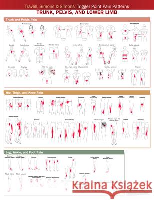 Travell, Simons & Simons’ Trigger Point Pain Patterns Wall Chart: Trunk, Pelvis, and Lower Limb Anatomica Chart Company 9781975183851 Wolters Kluwer Health - książka