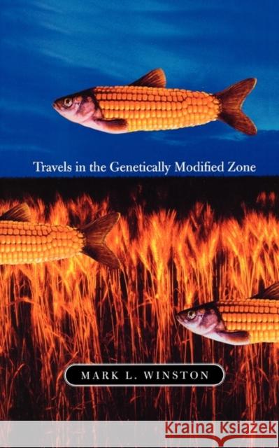 Travels in the Genetically Modified Zone Mark L. Winston 9780674015296 Harvard University Press - książka