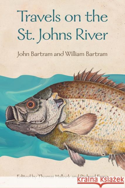 Travels on the St. Johns River William Bartram 9780813080444 University Press of Florida - książka