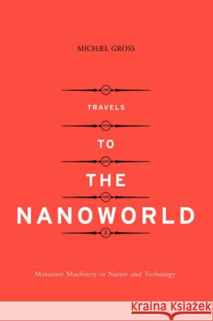 Travels to the Nanoworld Gross, Michael 9780738204444 Perseus Books Group - książka