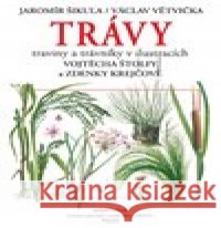 Trávy Václav Větvička 9788074421327 Aventinum - książka