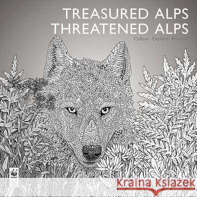 Treasured Alps, Threatened Alps: Colour, Explore, Protect Pasotti, Jacopo 9783038690276 Bergli Books - książka