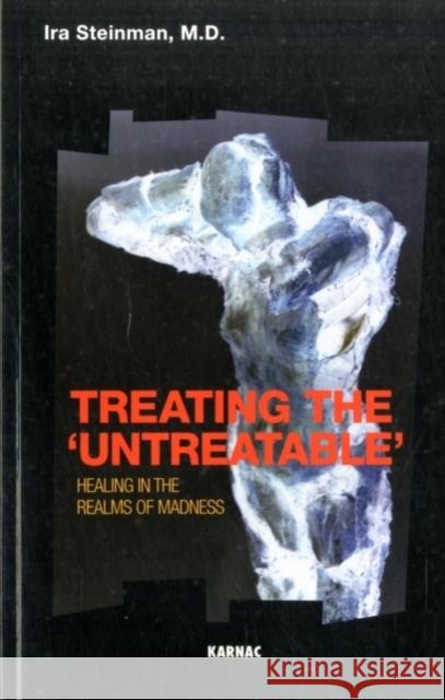 Treating the 'Untreatable' : Healing in the Realms of Madness Ira Steinman 9781855756809 KARNAC BOOKS - książka
