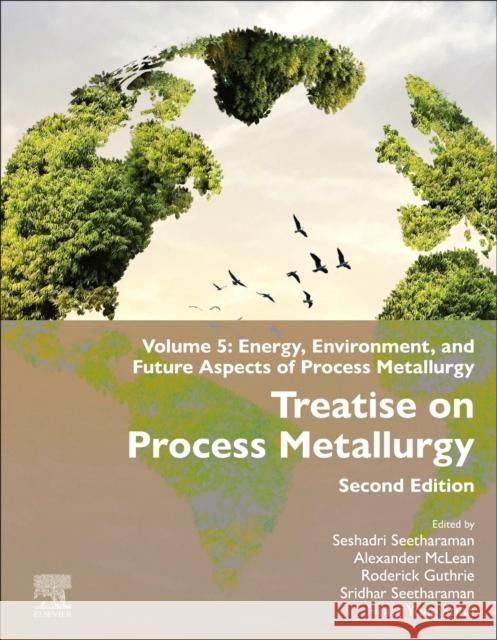 Treatise on Process Metallurgy: Volume 5: Energy, Environment, and Future Aspects of Process Metallurgy Seshadri Seetharaman Alexander McLean Roderick Guthrie 9780443337321 Elsevier - książka