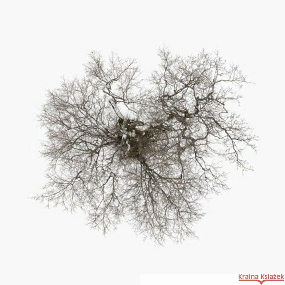 Tree, 1 Audio-CD Metcalfe, John 0884108014899 Pias/Real World - książka