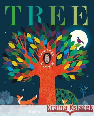 Tree: A Peek-Through Board Book Britta Teckentrup 9780593181775 Random House USA Inc - książka