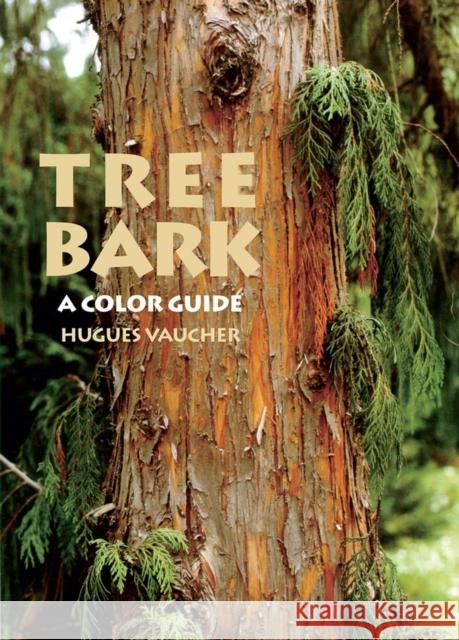 Tree Bark: A Color Guide Hugues Vaucher James E. Eckenwalder 9781604692488 Timber Press (OR) - książka