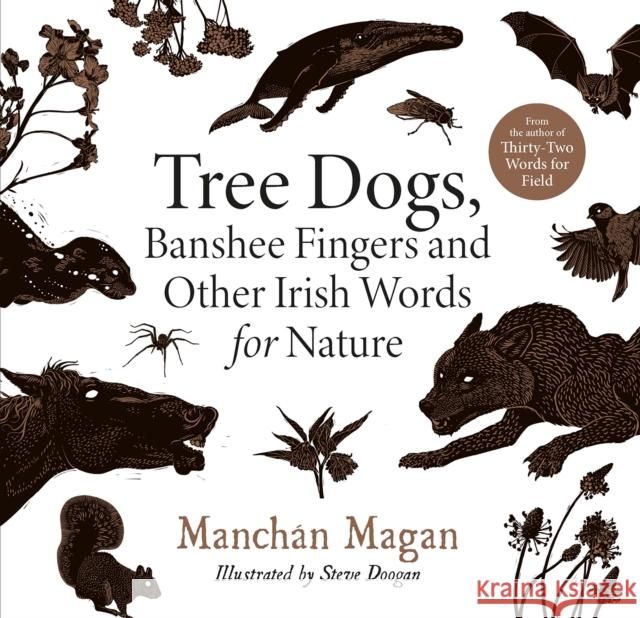 Tree Dogs, Banshee Fingers and Other Irish Words for Nature Manch Magan Steve Doogan 9780717192557 Gill - książka