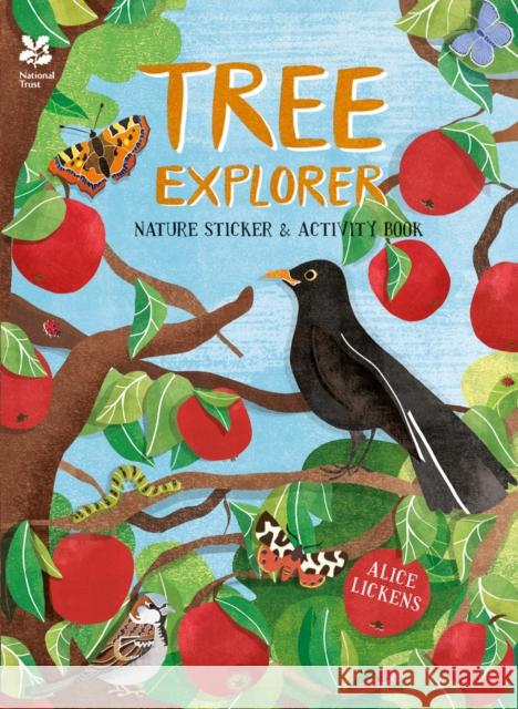 Tree Explorer: Nature Sticker & Activity Book National Trust Books 9781909881402 ANOVA National Trust Books - książka