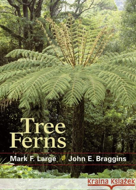 Tree Ferns Mark F. Large John E. Braggins 9781604691764 Timber Press (OR) - książka