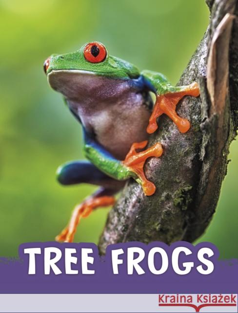 Tree Frogs Jaclyn Jaycox 9781398225046 Capstone Global Library Ltd - książka