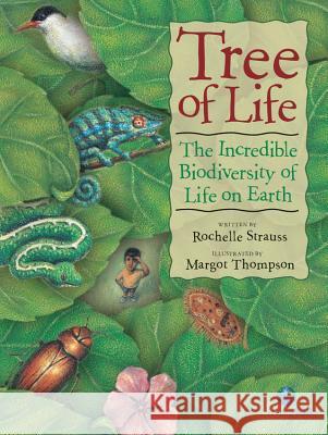 Tree of Life: The Incredible Biodiversity of Life on Earth Rochelle Strauss Margot Thompson 9781554539611 Kids Can Press - książka