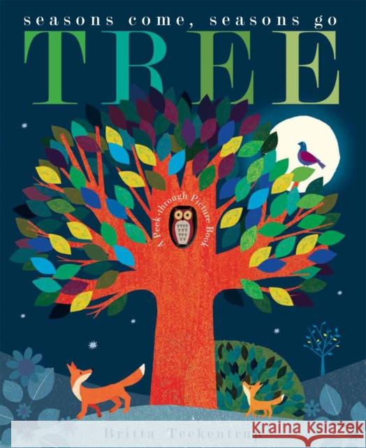 Tree: Seasons Come, Seasons Go Patricia Hegarty 9781848691810 Little Tiger Press Group - książka