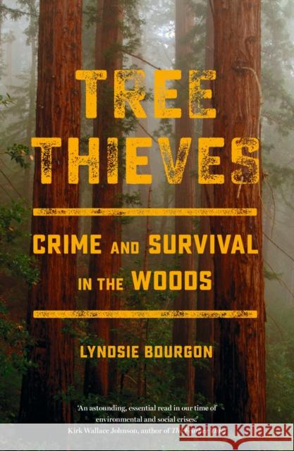 Tree Thieves: Crime and Survival in the Woods Lyndsie Bourgon 9781529331097 Hodder & Stoughton - książka