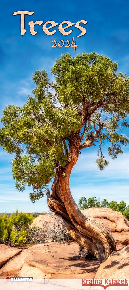 Trees 2024  9783959293143 Tushita - książka
