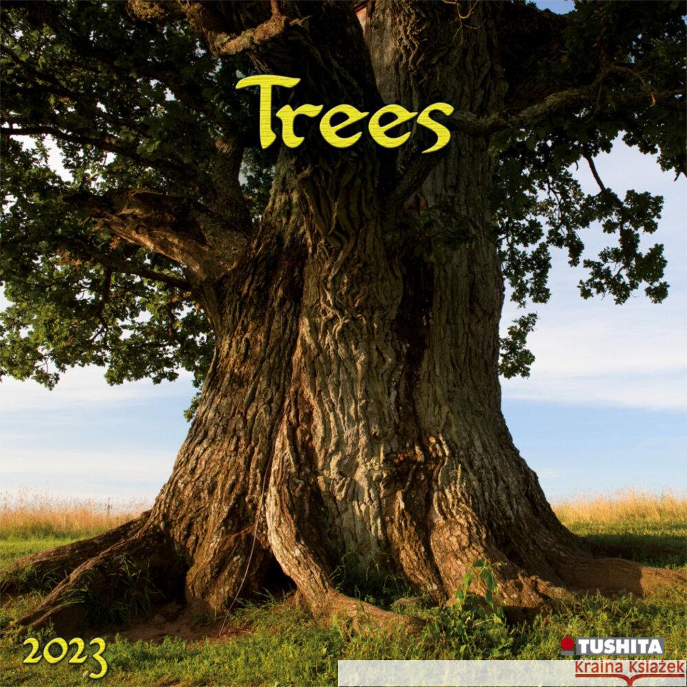 Trees  2023  9783959290142 Tushita - książka