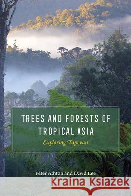 Trees and Forests of Tropical Asia: Exploring Tapovan Peter Ashton David Lee 9780226535692 University of Chicago Press - książka