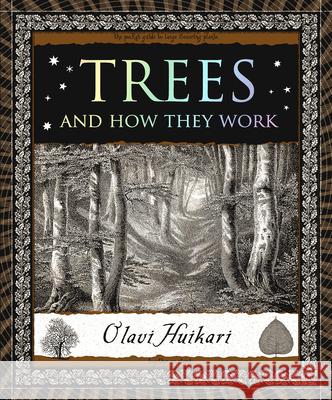 Trees: And How They Work Olavi Huikari 9781952178115 Wooden Books - książka