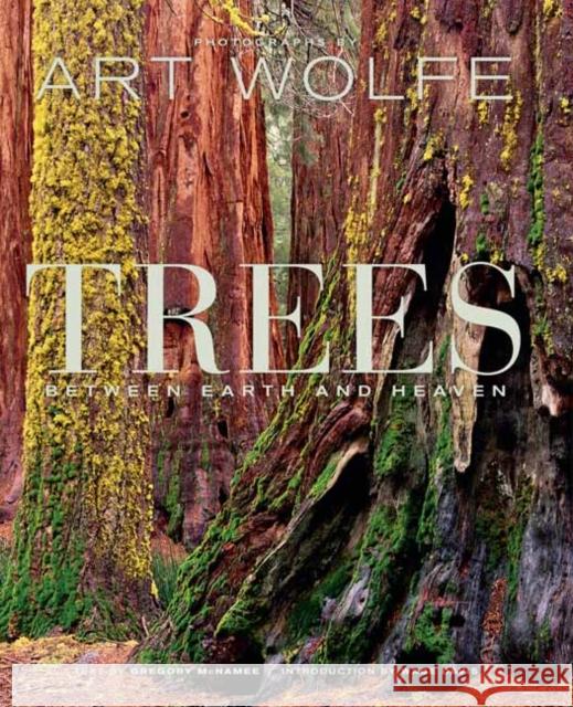 Trees: Between Earth and Heaven McNamee, Gregory 9781683830825 Earth Aware Editions - książka