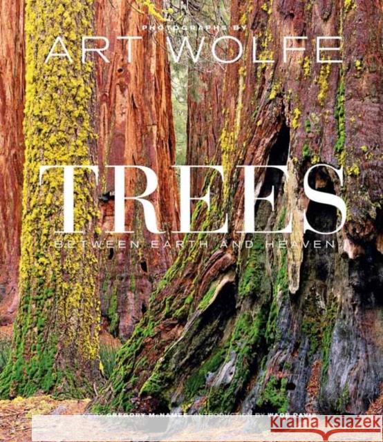 Trees: Between Earth and Heaven Gregory McNamee 9781683839262 Earth Aware Editions - książka