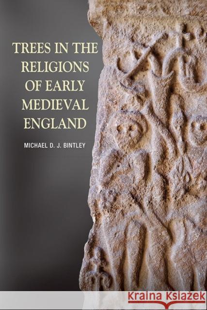 Trees in the Religions of Early Medieval England Della Hooke 9781783273010 Boydell Press - książka