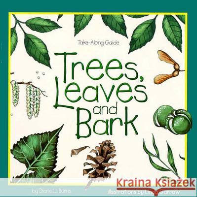 Trees, Leaves & Bark Diane L. Burns Linda Garrow 9781559716284 Northword Press - książka