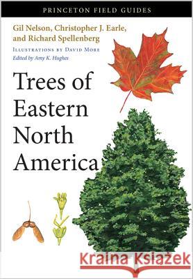 Trees of Eastern North America Nelson, Gil; Earle, Christopher J; Spellenberg, Richard 9780691145914 John Wiley & Sons - książka
