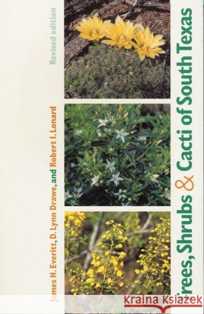 Trees, Shrubs & Cacti of South Texas Everitt, James H. 9780896724730 Texas Tech University Press - książka