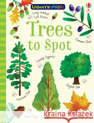Trees to Spot Sam Smith 9781474952187 Usborne Publishing Ltd - książka