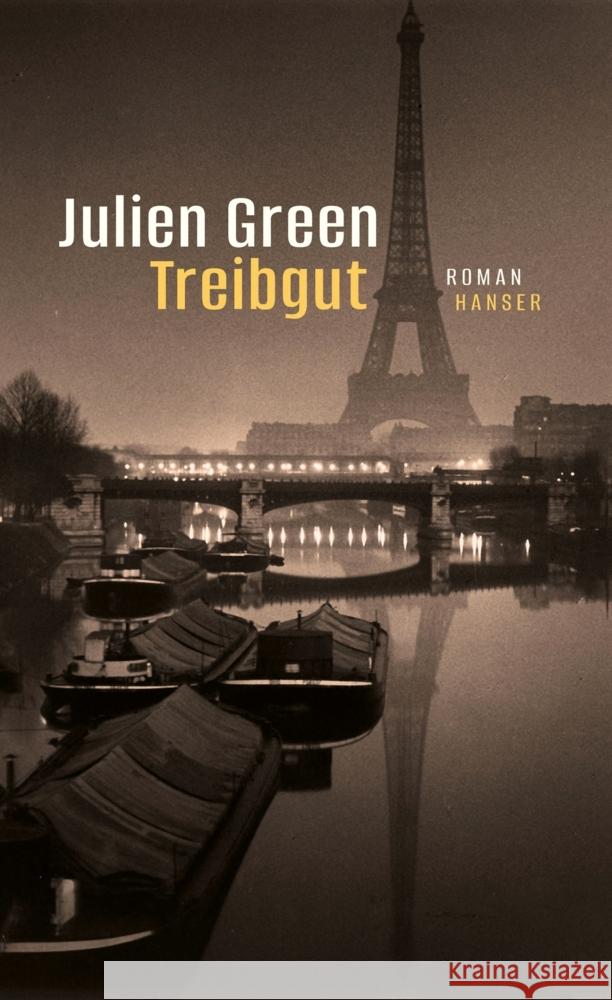 Treibgut Green, Julien 9783446279513 Hanser - książka
