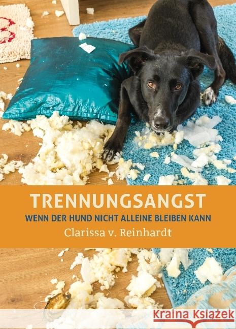 Trennungsangst : Wenn der Hund nicht alleine bleiben kann Reinhardt, Clarissa von 9783936188691 Animal Learn Verlag - książka