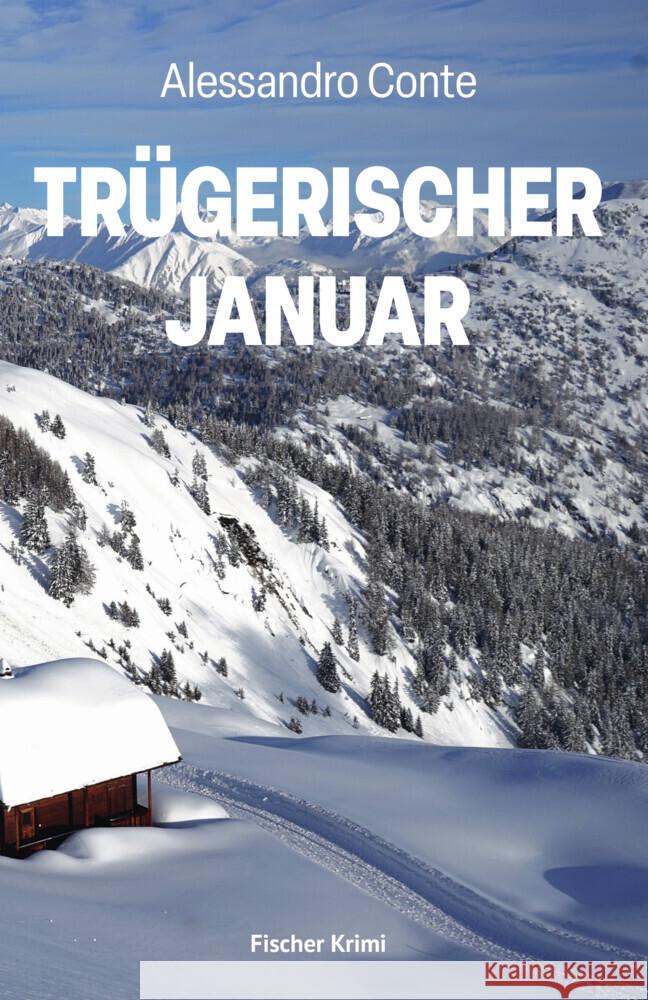 Trügerischer Januar Conte, Alessandro 9783842249868 Karin Fischer Verlag - książka