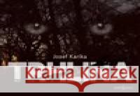 Trhlina - audiobook Jozef Karika 8590236101029 Radioservis - książka