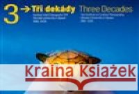 Tři dekády Vladimír Birgus 9788074373213 Slezská univerzita - książka