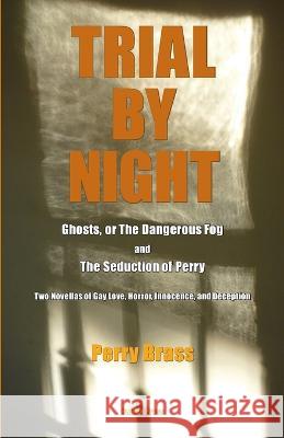 Trial by Night: Two Novellas of Gay Love, Horror, Innocence, and Deception Tom Saettel Perry Brass 9781892149350 Belhue Press - książka