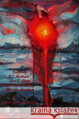 Triangulation: Lost Voices Jamie Lackey Benjamin Hitmar 9780982860670 Parsec Ink - książka