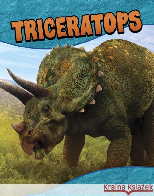 Triceratops Laura K. Murray 9781398260344 Capstone Global Library Ltd - książka
