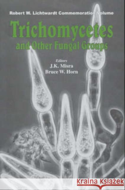 Trichomycetes and Other Fungal Groups  9781578081325 SCIENCE PUBLISHERS,U.S. - książka