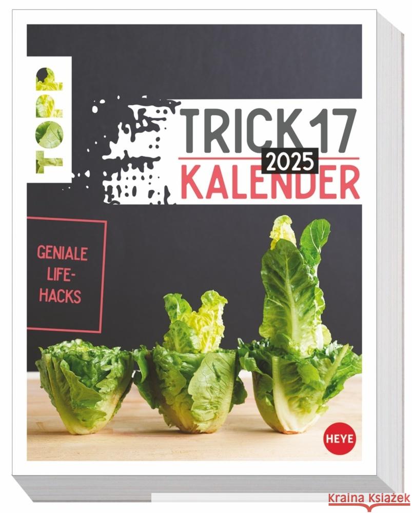 Trick 17 Tagesabreißkalender 2025  9783756406241 Heye - książka