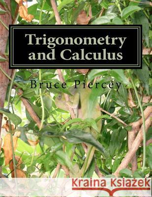 Trigonometry and Calculus: The african way Piercey, Bruce 9781463725303 Createspace - książka