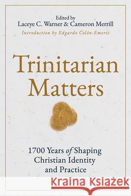 Trinitarian Matters Edgardo A. Colon-Emeric 9781791040543 Abingdon Press - książka