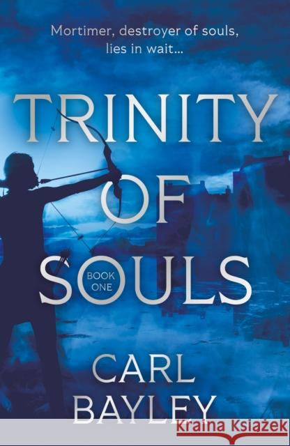 Trinity of Souls Carl Bayley 9781805142140 Troubador Publishing - książka