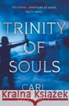 Trinity of Souls Carl Bayley 9781805142140 Troubador Publishing