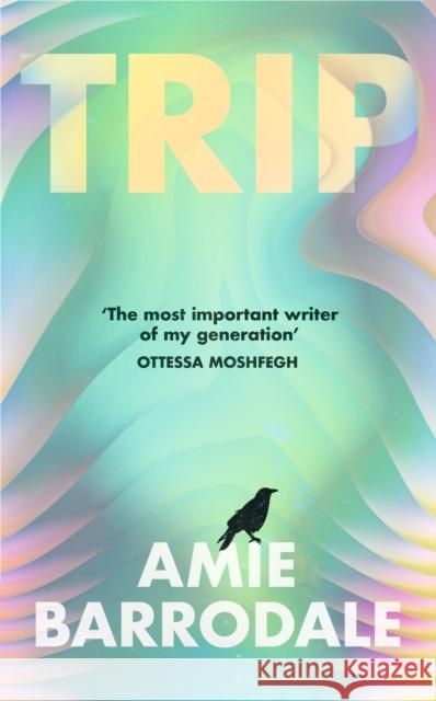 Trip Amie Barrodale 9781787335943 Vintage Publishing - książka