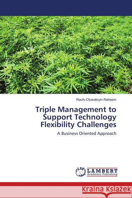 Triple Management to Support Technology Flexibility Challenges : A Business Oriented Approach Raheem, Raufu Oluwatoyin 9786138389422 LAP Lambert Academic Publishing - książka