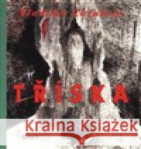 Tříska Ivan Vladimirov 9788072872633 Maťa - książka
