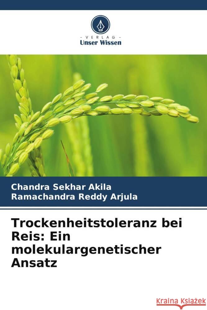 Trockenheitstoleranz bei Reis: Ein molekulargenetischer Ansatz Akila, Chandra Sekhar, Arjula, Ramachandra Reddy 9786208390648 Verlag Unser Wissen - książka
